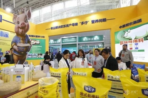 科技赋能，绿色引领——第29届东北三省畜牧业交易博览会在哈开幕，泰高牧业展现行业新风采