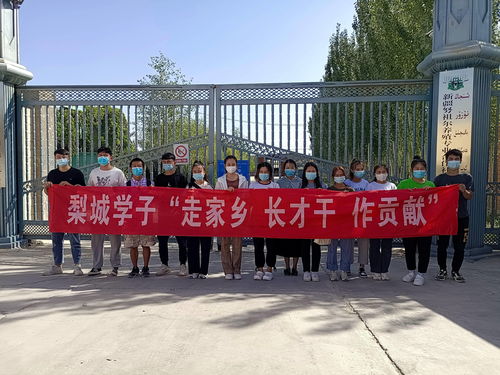 走进乡村，感受产业脉搏——泰高牧业助力大学生了解现代畜牧业发展